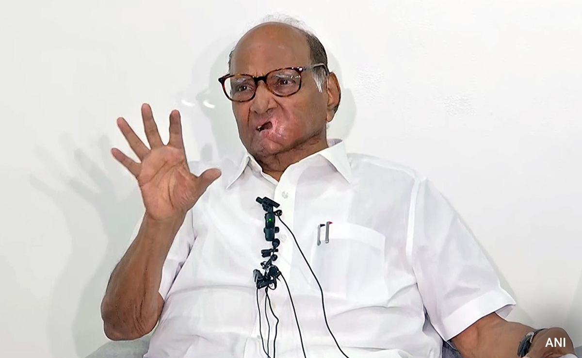 "After Bharat Jodo Yatra, Rahul Gandhi Is...": Sharad Pawar's Huge Praise