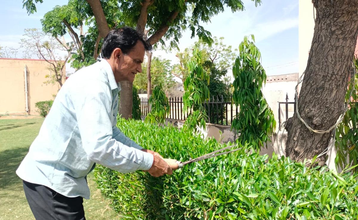 चूरू में स्वतंत्रता सेनानी पिता से प्रेरित होकर शिक्षक ने लगाए 70 हज़ार पौधे