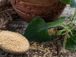 सेहत के लिए अद्भुत हैं एमरैंथ की पत्तियां, पोषक तत्वों का भंडार कर देगा शरीर का कायापलट, जानिए 9 स्वास्थ्य लाभ सेहत के लिए अद्भुत हैं एमरैंथ की पत्तियां, पोषक तत्वों का भंडार कर देगा शरीर का कायापलट, जानिए 9 स्वास्थ्य लाभ