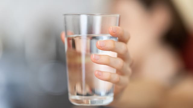 Water helps maintain a stable internal temperature through sweating and respiration