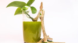 5 Incredible Ways Giloy Juice Can Transform Your Skin Health