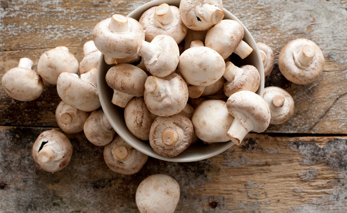 Mushroom Benefits: याददाश्त बढ़ाने के लिए करें मशरूम का सेवन और भी हैं कई लाभ
