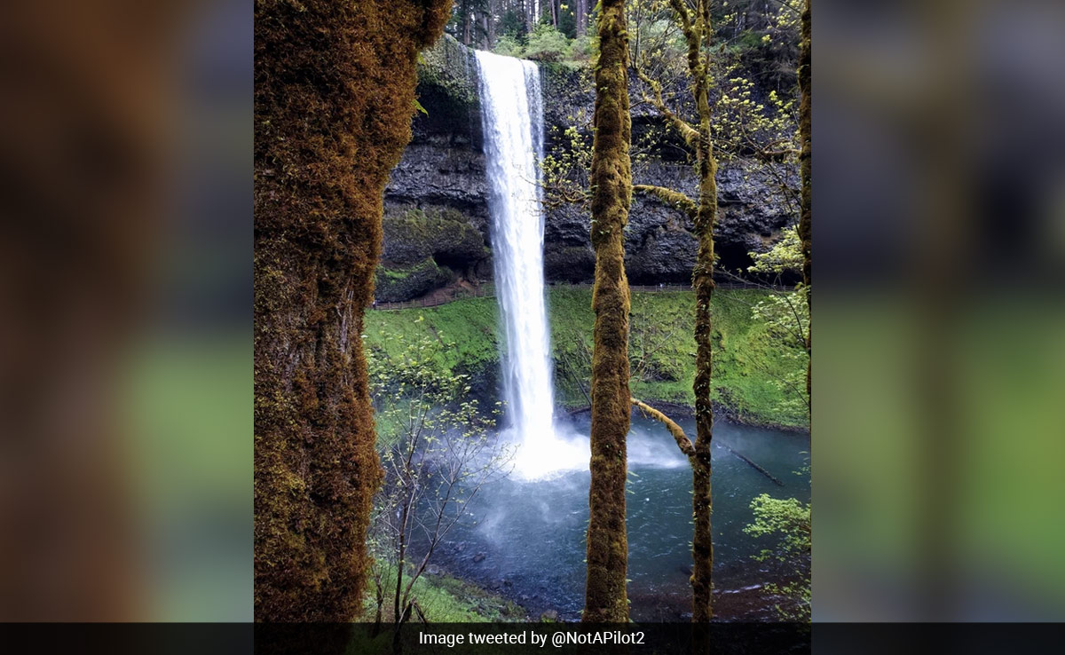 Andhra Pradesh Student, 23, Drowns In Canada's Silver Falls