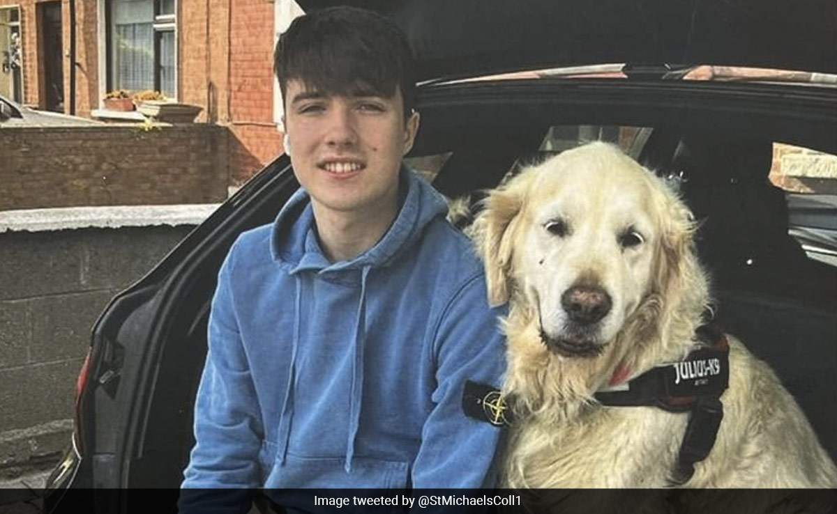 Dogs Of Irish Teen Who Died In Fall On Greek Island Join Mourners At His Funeral
