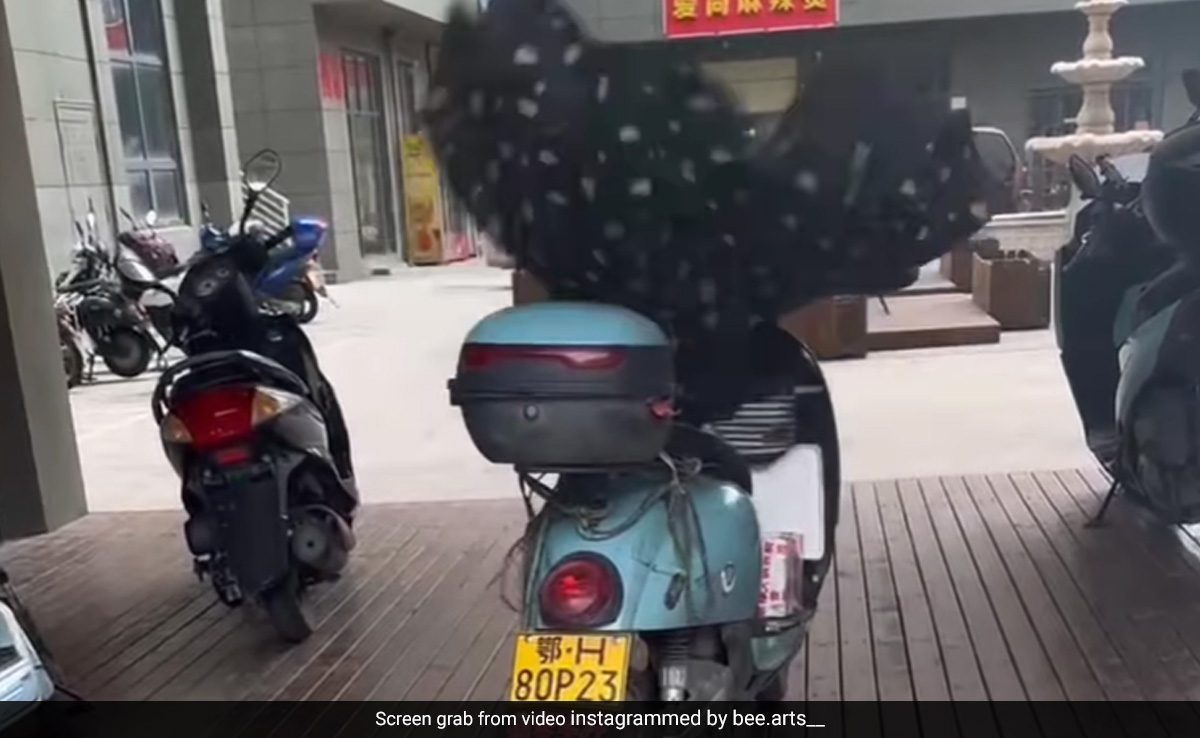 'कभी देखा ऐसा उड़ने वाला स्कूटर' दूर से पंख फैलाये किसी पक्षी की तरह दिखा, पास आकर देखा तो..