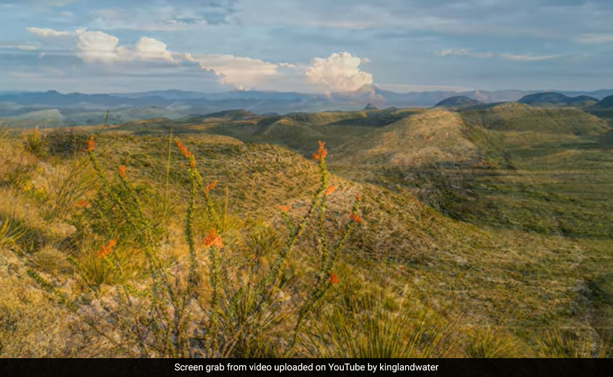 424,000-Acre Ranch Is Up For Sale In US For This Whopping Amount
