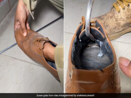 जूते के अंदर छिपा बैठा था सांप, महिला ने नंगे हाथों से पकड़कर निकाला बाहर, देखकर डर गए लोग जूते के अंदर छिपा बैठा था सांप, महिला ने नंगे हाथों से पकड़कर निकाला बाहर, देखकर डर गए लोग