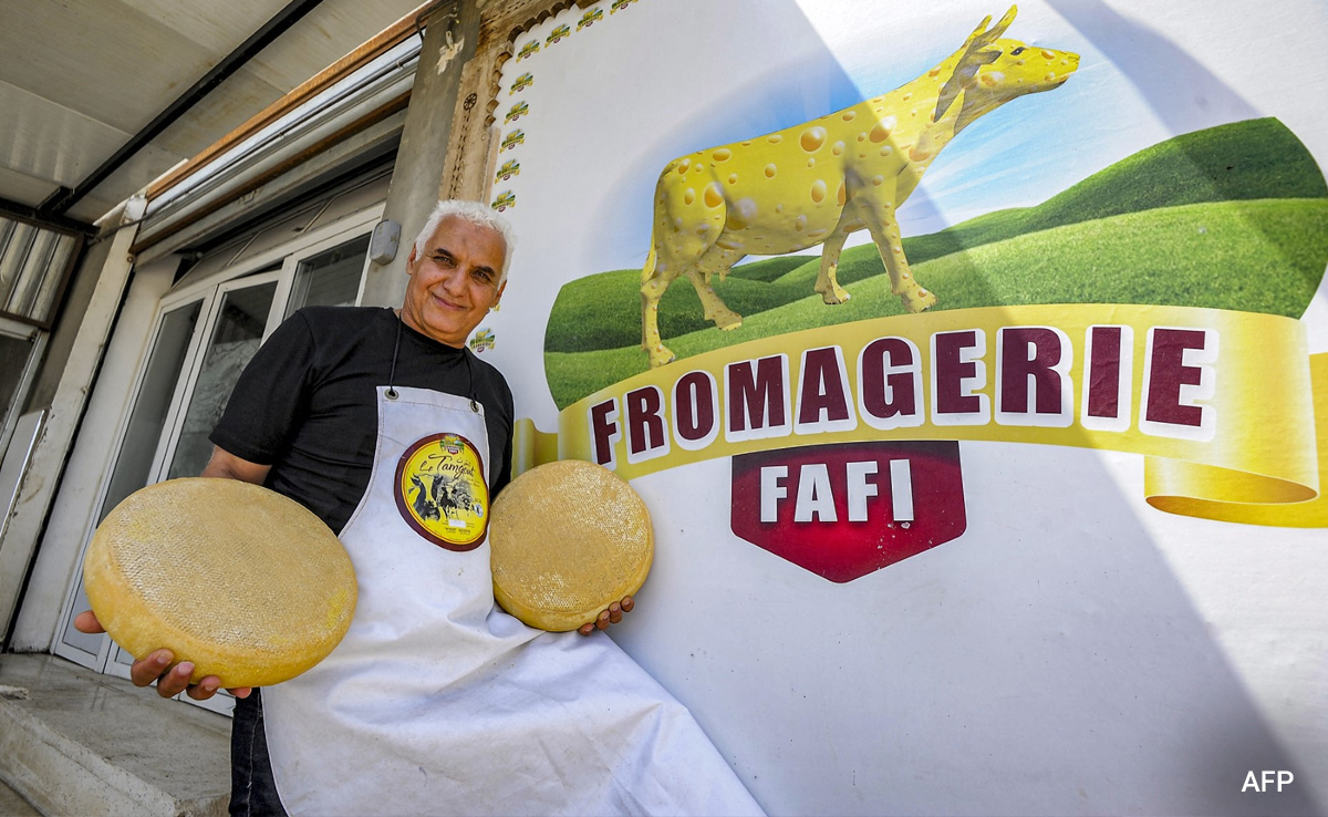 Alps To Atlas: Swiss Inspired Cheese Makes Debut In Algerian Mountains