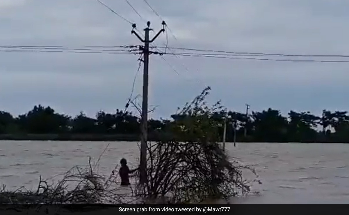 Telangana Man Who Swam In Flood Waters To Restore Electricity Wins Praise From Minister