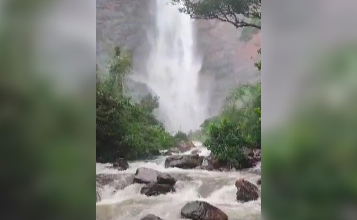 Over 80 Tourists Rescued From Telangana's Highest Waterfall