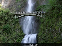 US Man Falls And Dies While Hiking In Front Of Wife And 5 Children US Man Falls And Dies While Hiking In Front Of Wife And 5 Children