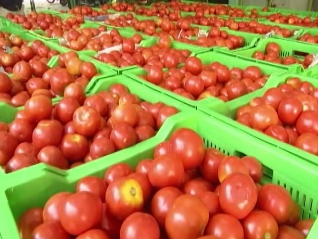 Pricey Tomatoes Squeezing Daily Budget