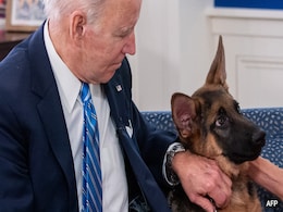 From White House To Doghouse: Biden Pet Commander Accused Of Biting From White House To Doghouse: Biden Pet Commander Accused Of Biting