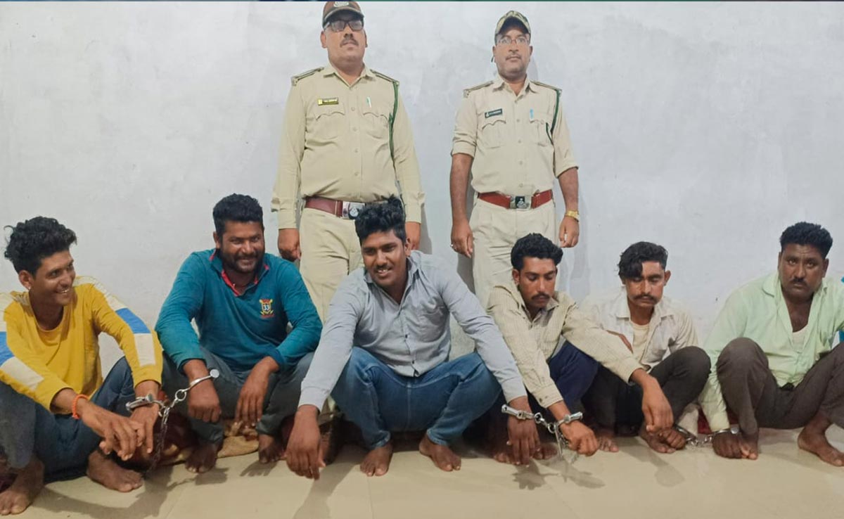 शाजापुर : रात की पार्टी के लिए कबूतरों का किया शिकार, 6 गिरफ्तार