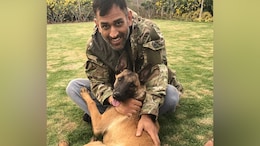 Watch: MS Dhoni Sharing Birthday Cake With His Pets Is All Hearts