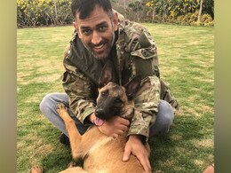 Watch: MS Dhoni Sharing Birthday Cake With His Pets Is All Hearts