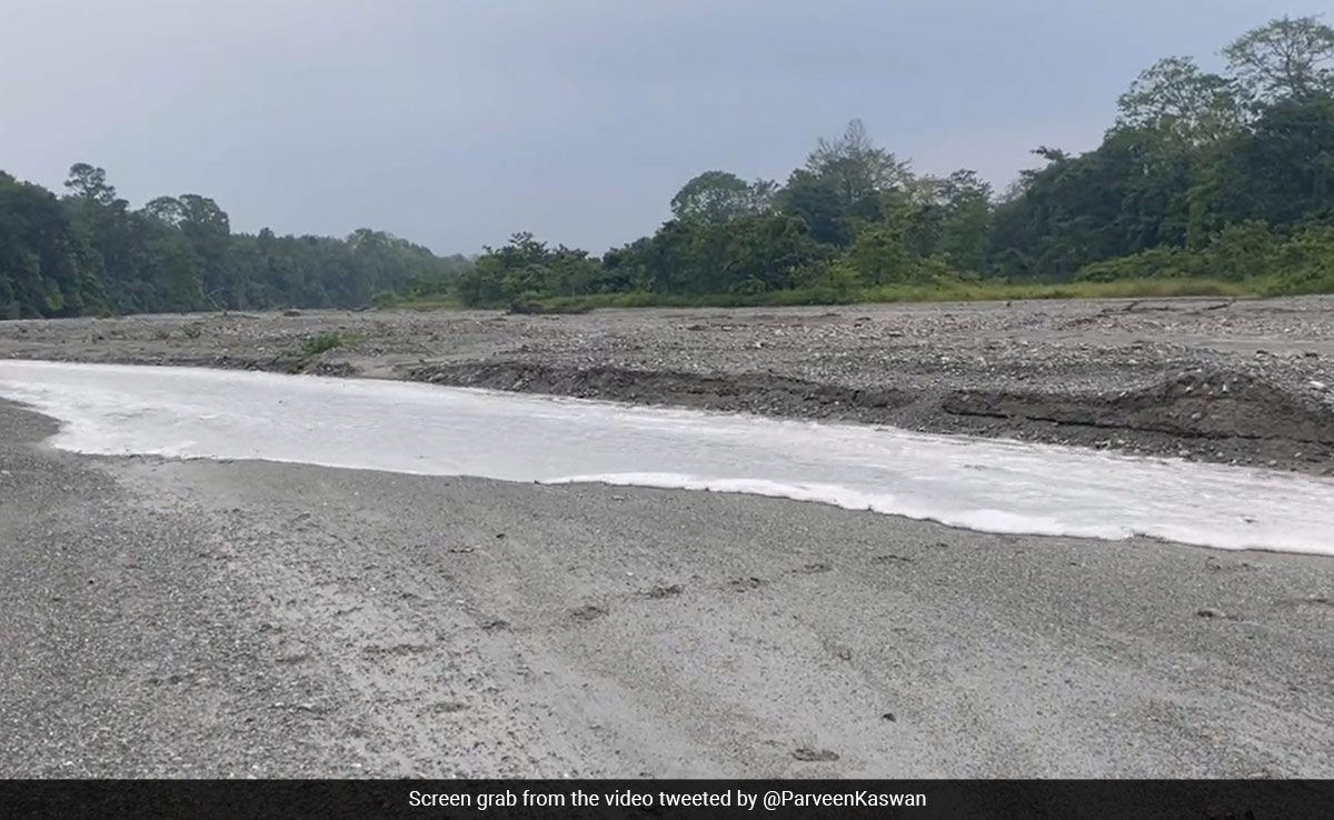 Bureaucrat Shares Stunning Video Of "How Rivers Are Made", Internet Stunned