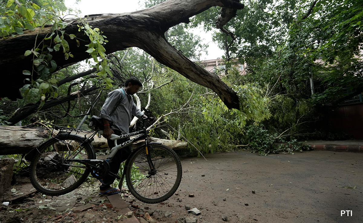 उत्तर भारत में क्यों हो रही है भारी बारिश? मौसम विभाग ने दिया जवाब