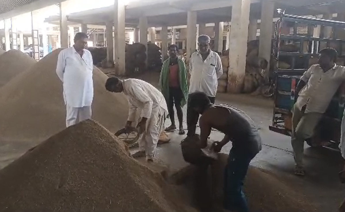 जोधपुर : बदलते मौसम ने जीरा को बनाया 'हीरा', क्या बढ़ते दाम का किसानों को भी होगा फायदा?