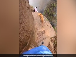 Anand Mahindra Wants To Trek Maharashtra's Kalavantin Durg, Shares Video Anand Mahindra Wants To Trek Maharashtra's Kalavantin Durg, Shares Video