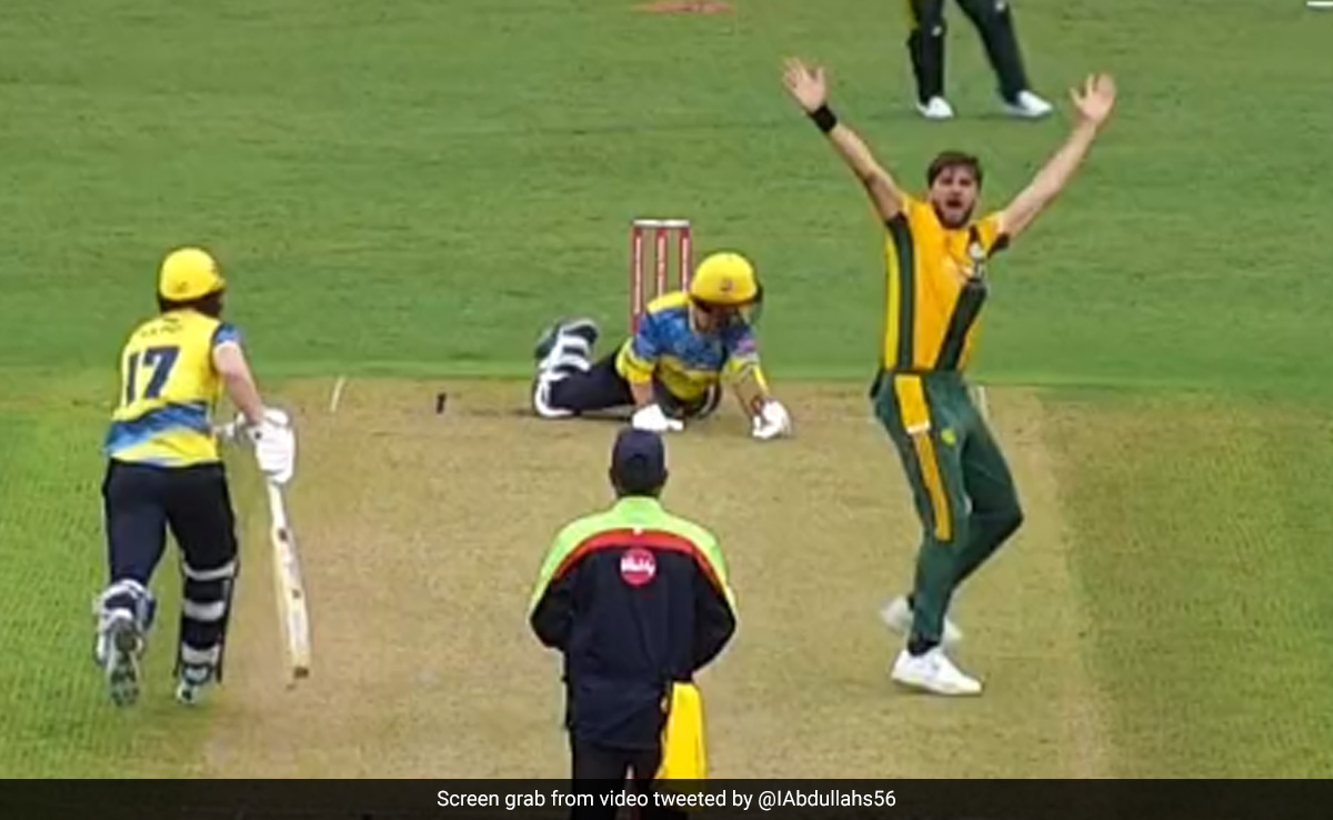 T20 Blast: शाहीन अफरीदी का गदर, एक ही ओवर में 4 खिलाड़ियों को पवेलियन भेज कर मचाई खलबली - Video