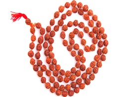 रुद्राक्ष धारण करने के बाद ध्यान रखें यह जरूरी बातें, नहीं तो शिव जी हो सकते हैं नाराज ! रुद्राक्ष धारण करने के बाद ध्यान रखें यह जरूरी बातें, नहीं तो शिव जी हो सकते हैं नाराज !