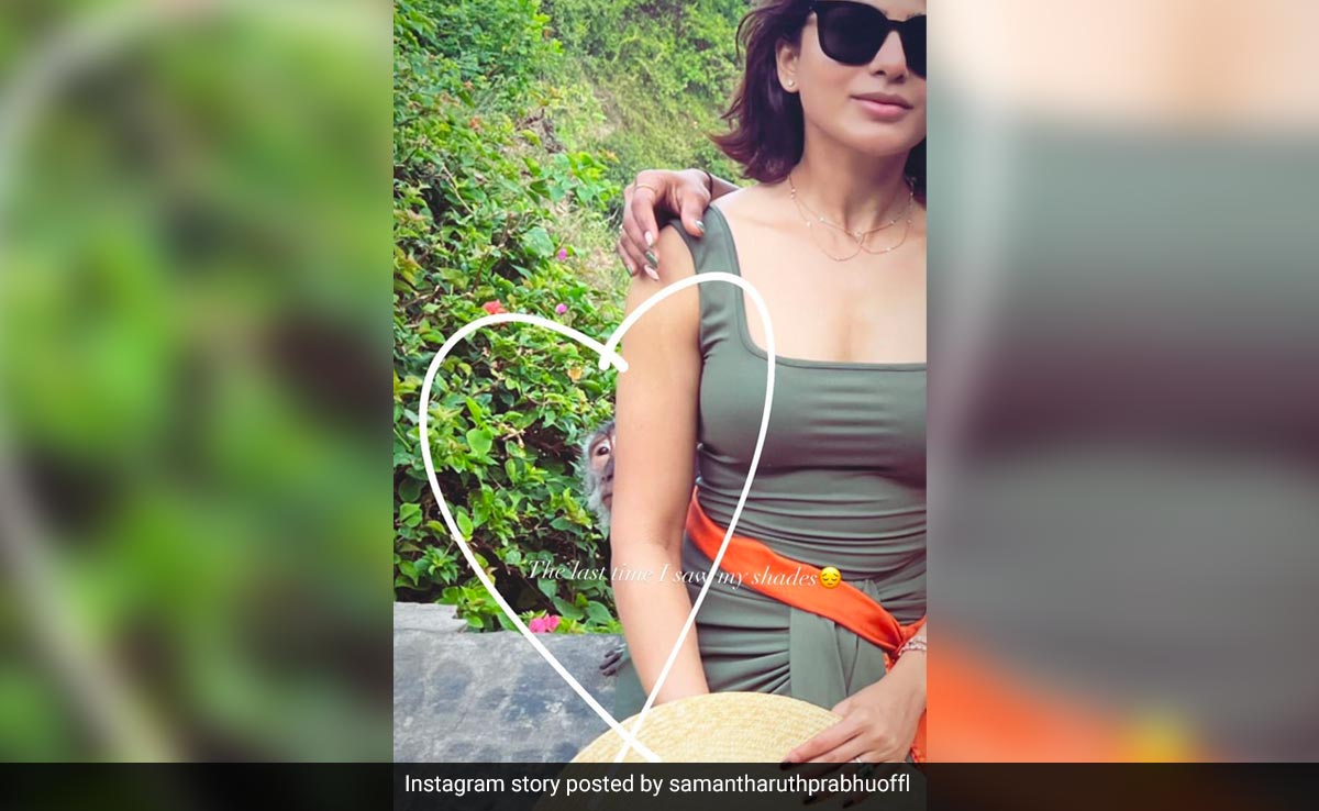 Samantha Ruth Prabhu In A Pic Just Before Her Sunglasses Were Stolen By A Monkey In Bali