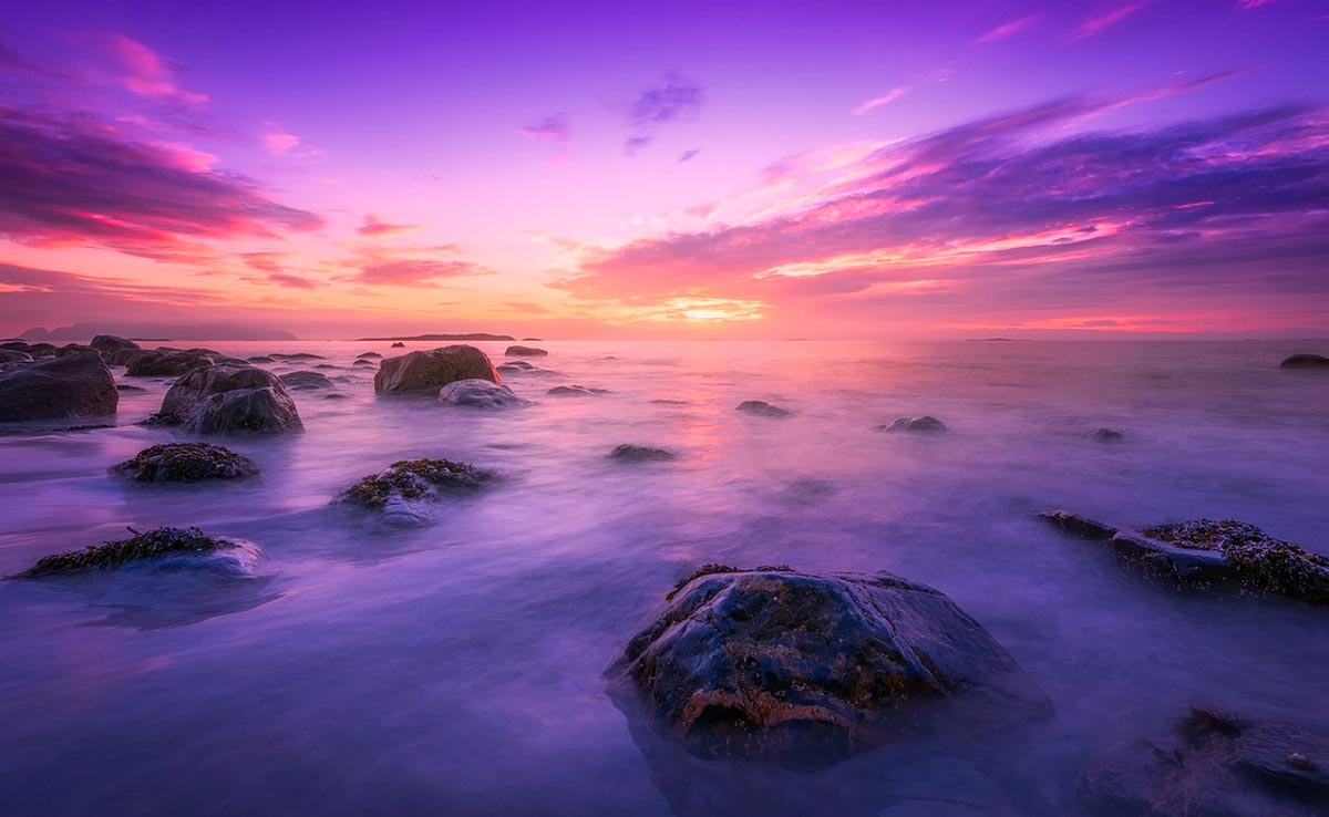 More Than Half The World's Oceans Have Changed Colour. Read Why