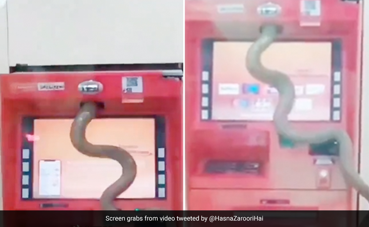 एटीएम के अंदर घुस गया विशाल सांप, पैसे निकालने आया शख्स, खौफनाक नज़ारा देखते ही थर-थर लगा कांपने