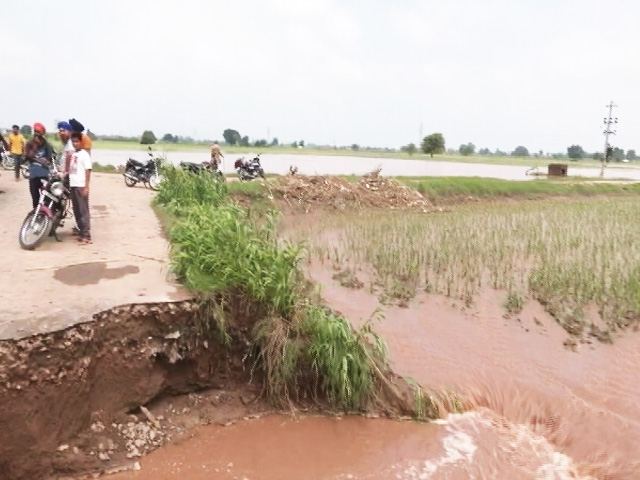 Ground Report: Overflowing Ghaggar River Floods Punjab Farms