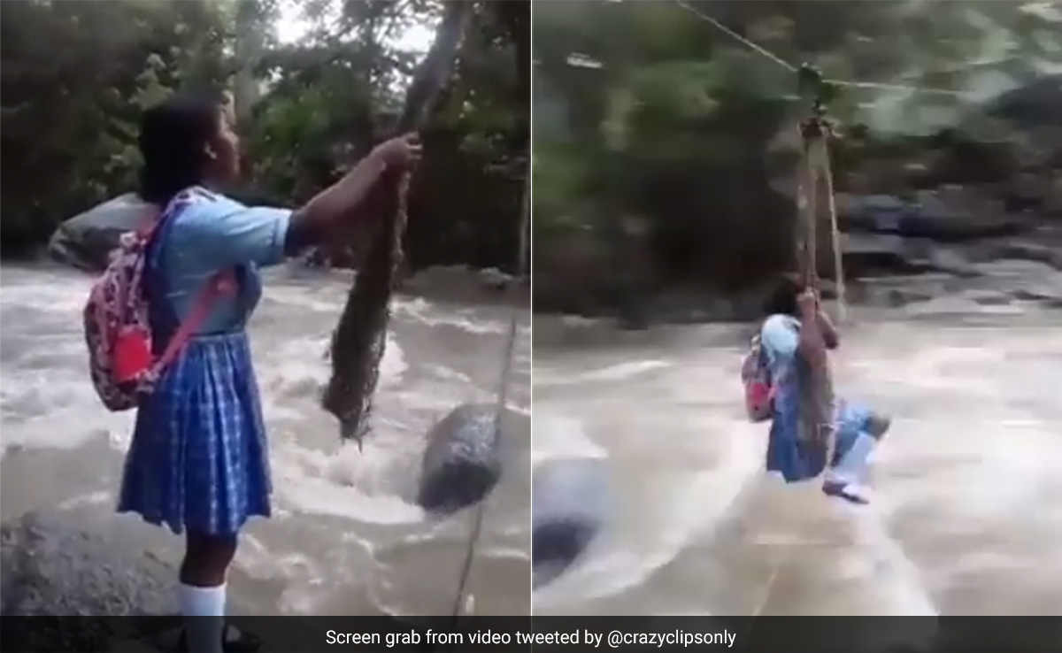 स्कूल जाने के लिए लड़की ने जान को खतरे में डाल रस्सी से लटककर पार की नदी, देखकर डरे लोग, बोले- इन्हें भी बेहतर सुविधाएं मिलनी चाहिए