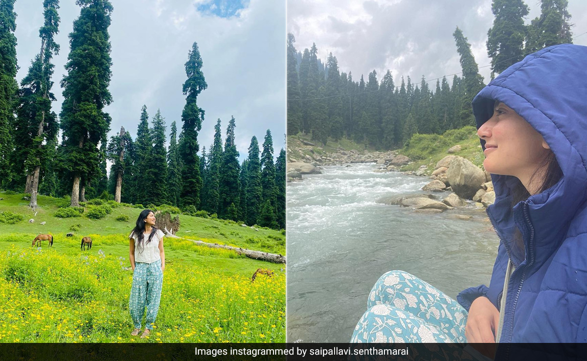 Sai Pallavi's Current "State Of Mind" Summed Up With Serene Pics