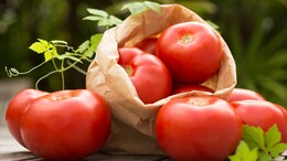 Wait, What? On Mother's Request, Daughter Brings 10 Kg Tomatoes From Dubai