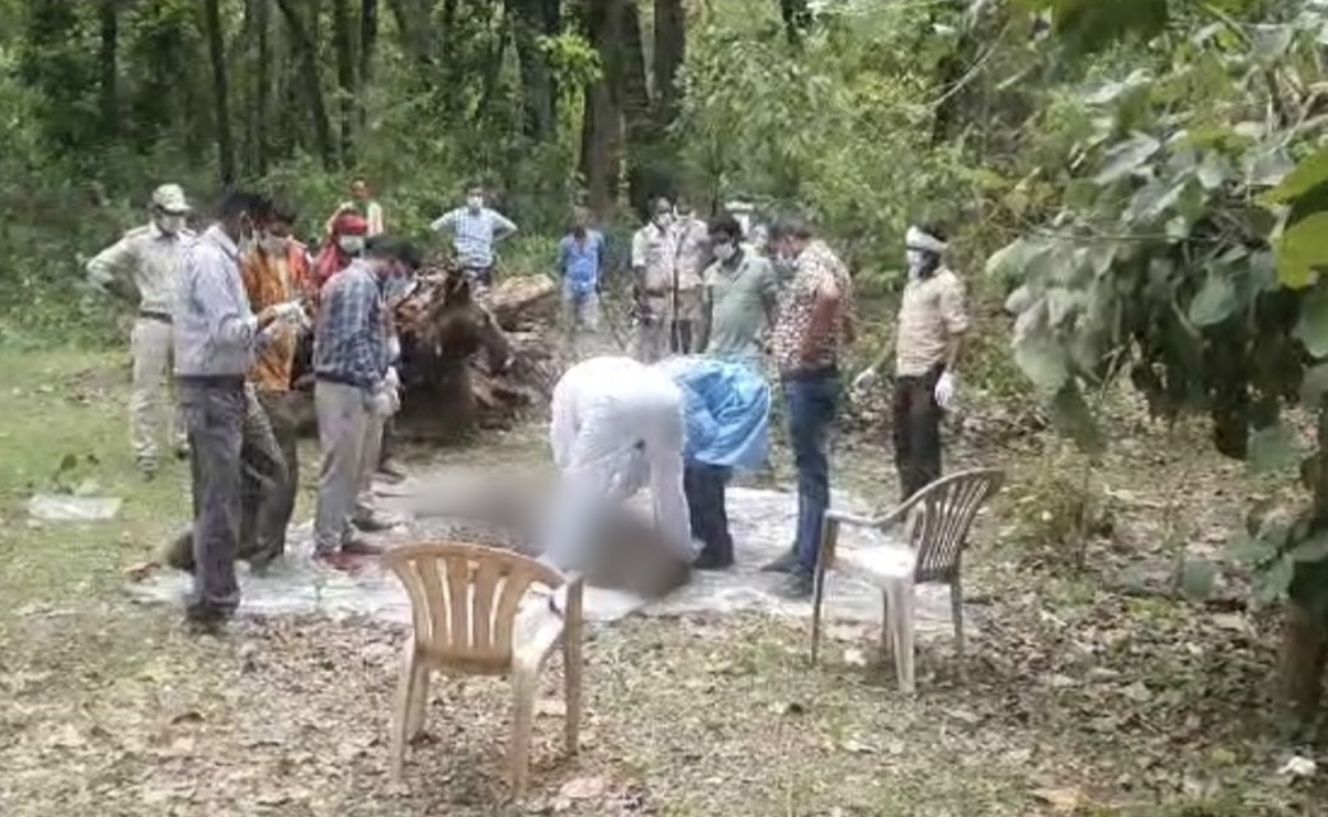 उमरिया : बांधवगढ़ टाइगर रिजर्व में बाघों की संदिग्ध मौत से मचा हड़कंप