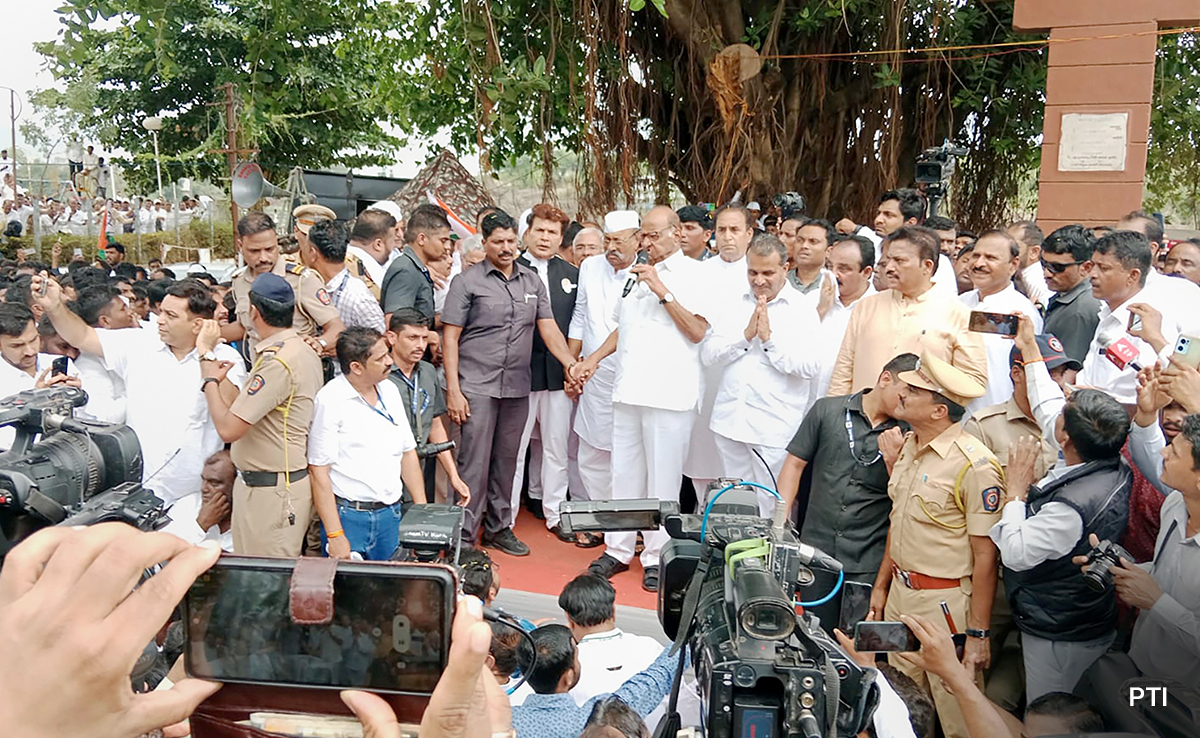 Sharad Pawar's "Low Intellect" Reply On If Nephew Ajit Had His Blessing