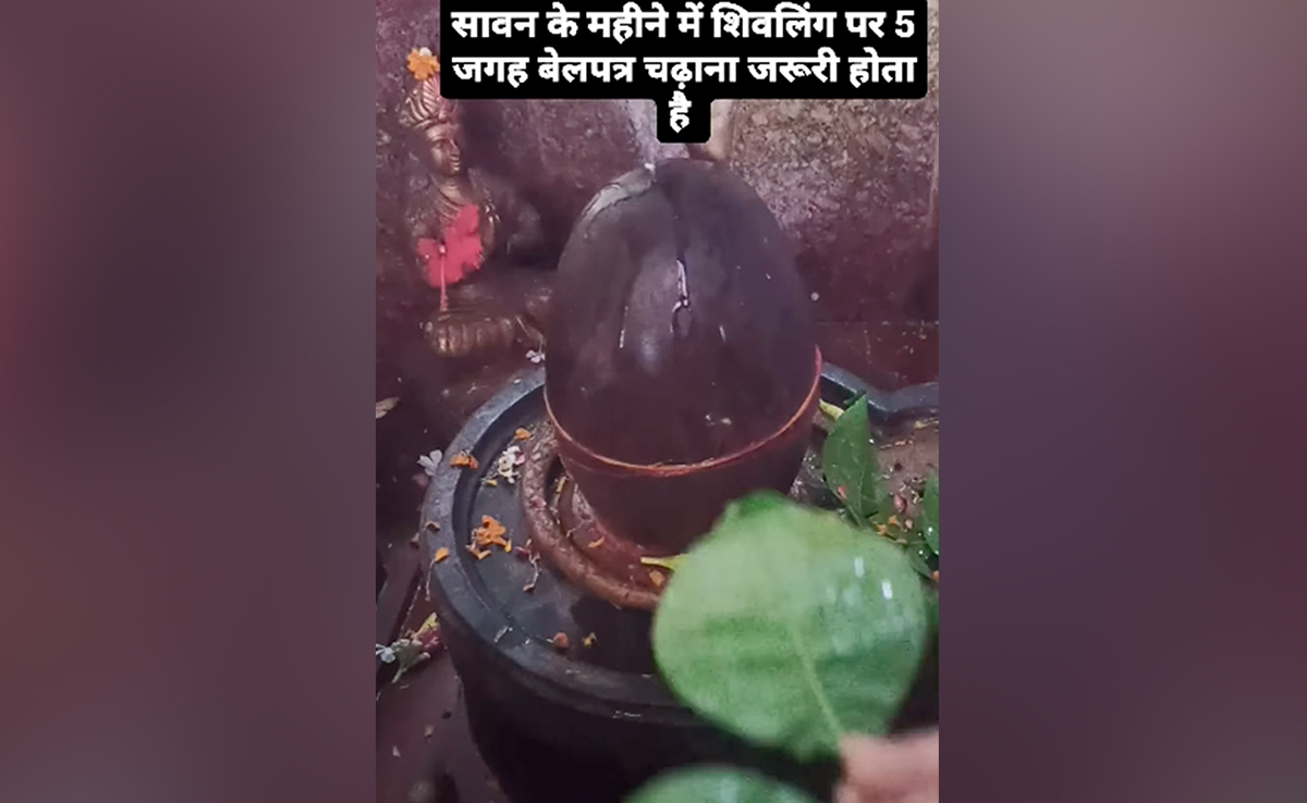 सावन में शिवलिंग पर 5 जगह बेलपत्र चढ़ाना है जरूरी, एस्ट्रो एक्सपर्ट से जानें कहां, फिर हर मनोकामना होगी पूरी