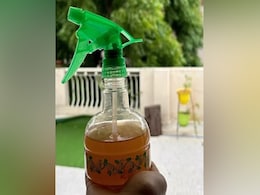 बरसात में बढ़ गए हैं मच्छर तो पानी में यह एक मसाला मिलाकर बना लीजिए Mosquitoes भगाने की दवा, दिखेगा कमाल का असर बरसात में बढ़ गए हैं मच्छर तो पानी में यह एक मसाला मिलाकर बना लीजिए Mosquitoes भगाने की दवा, दिखेगा कमाल का असर