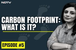 Carbon Footprint, Explained | And Why You Should Consider Reducing Yours Carbon Footprint, Explained | And Why You Should Consider Reducing Yours
