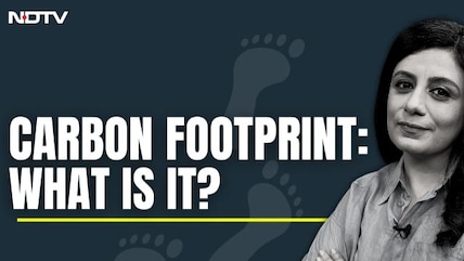 Carbon Footprint, Explained | And Why You Should Consider Reducing Yours