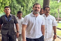 "No Reasonable Grounds...": Setback For Rahul Gandhi In Defamation Case "No Reasonable Grounds...": Setback For Rahul Gandhi In Defamation Case