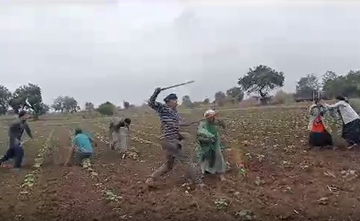 मध्यप्रदेश: जमीन विवाद में दो पक्षों में हिंसक झड़प, जमकर चले लाठी-डंडे