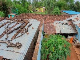 अजब-गजब एमपी का एक ऐसा गांव... जहां घरों पर पक्की छत नहीं बनाते लोग, वजह कर देगा हैरान अजब-गजब एमपी का एक ऐसा गांव... जहां घरों पर पक्की छत नहीं बनाते लोग, वजह कर देगा हैरान