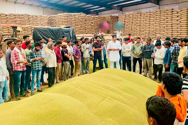 नर्मदापुरम: समर्थन मूल्य पर मूंग की खरीद की डेट बढ़ी, किसानों के चेहरे खिले