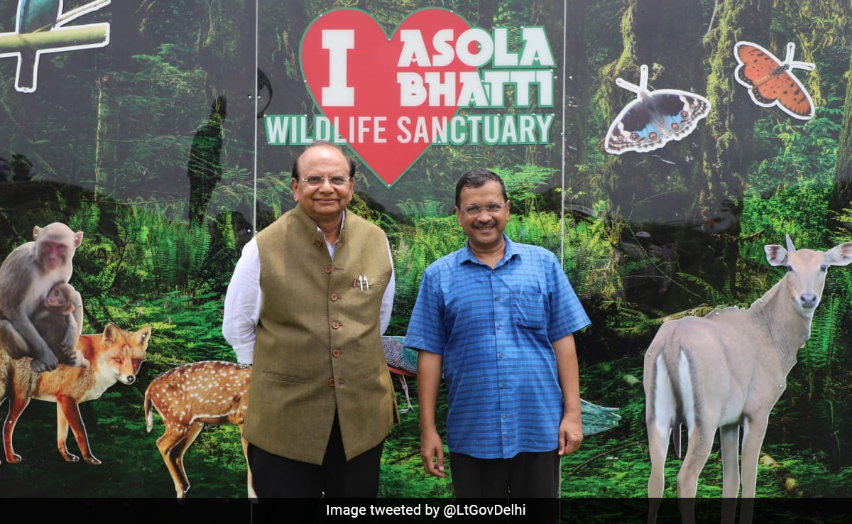 "Remarkable Day": Delhi Lt Governor, Arvind Kejriwal Discuss Green Cover