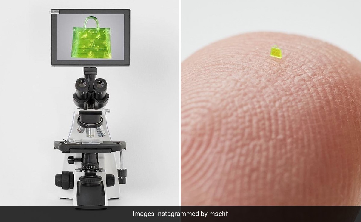 This Crumb-Sized Mini Bag Got Auctioned For More Than Rs 50 lakhs