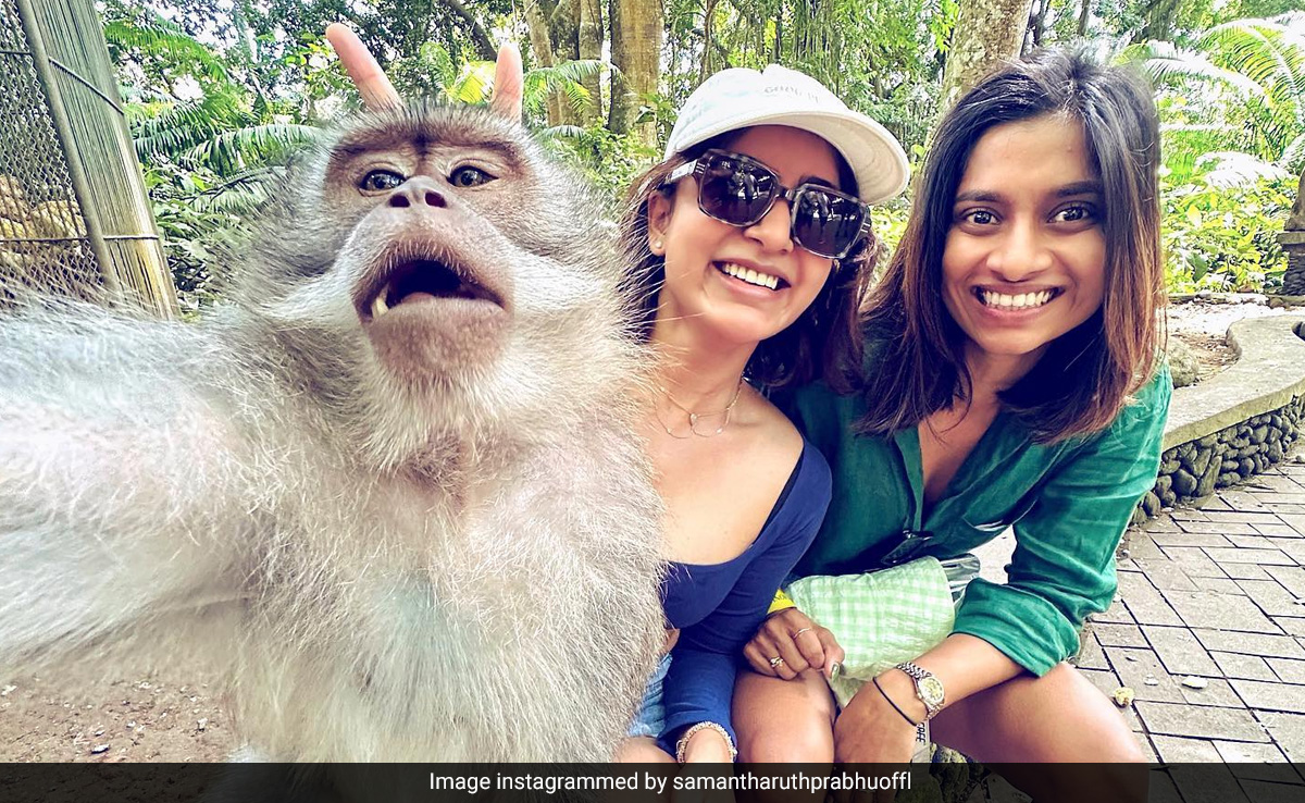 So Monkey Business Happened During Samantha Ruth Prabhu's Bali Holiday