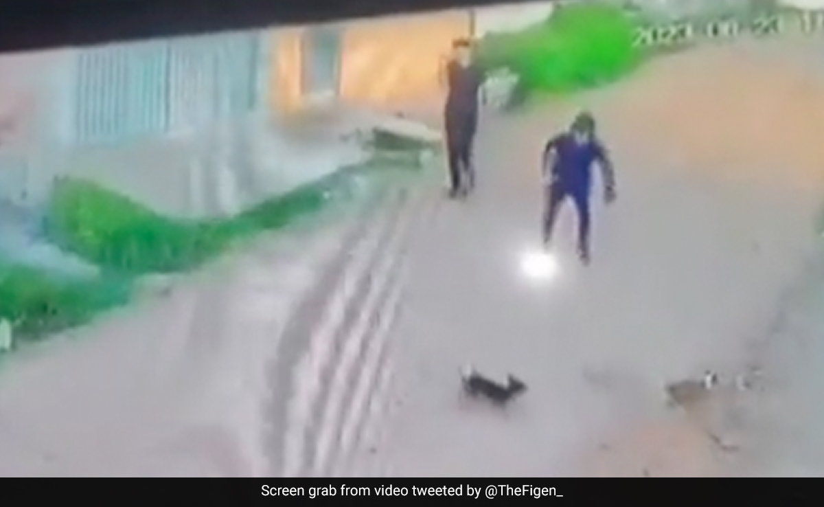 कुत्ते के बच्चों को डराकर भगा रहे थे दो शख्स, कुछ देर बाद दोनों के साथ जो हुआ, किसी को नहीं होगा यकीन