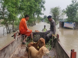 बाढ़ प्रभावित राज्यों में राहत और बचाव में जुटा है NDRF, हजारों लोग और सैकड़ों पशुओं का किया रेस्क्यू बाढ़ प्रभावित राज्यों में राहत और बचाव में जुटा है NDRF, हजारों लोग और सैकड़ों पशुओं का किया रेस्क्यू