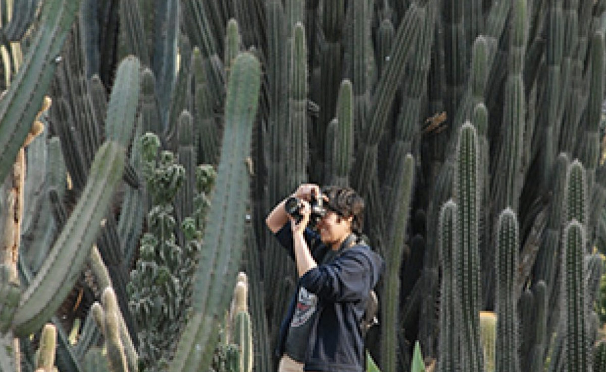 रतलामी सेव के लिए विश्व प्रसिद्ध है रतलाम,  कैकटस गार्डेन है बेहद अनोखा