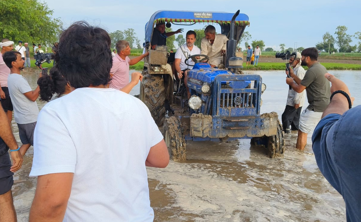 PHOTOS: सोनीपत में किसानों के बीच पहुंचे राहुल गांधी, टैक्टर चलाने के बाद की धान की रोपाई